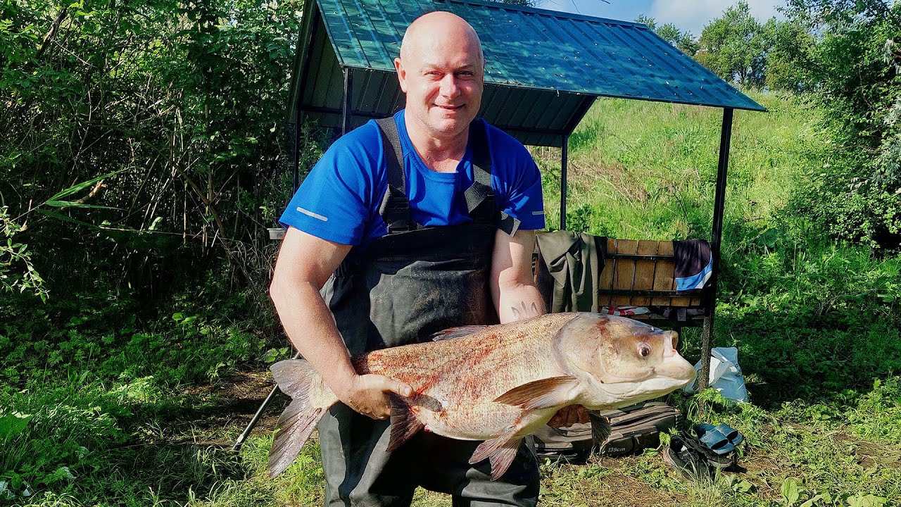 Щука, Товстолобик, Трофейний Товстолоб. Риболовля на технопланктон.