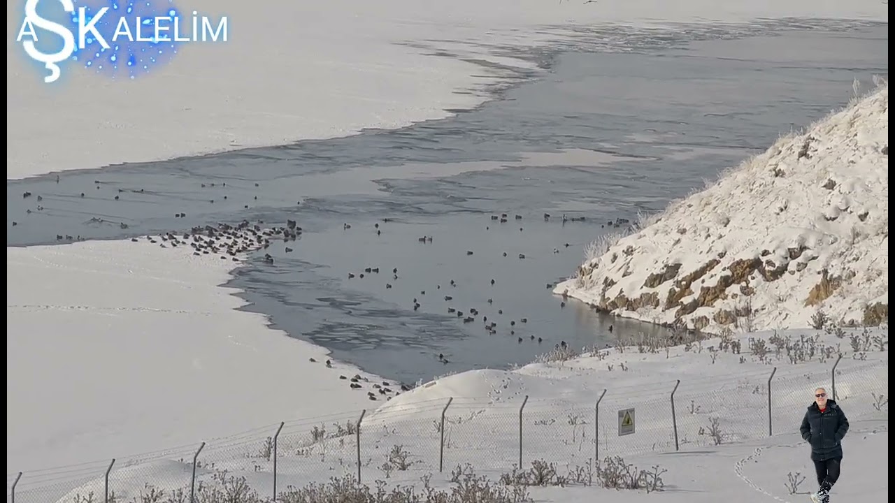 -30 Gölet Buz tuttu