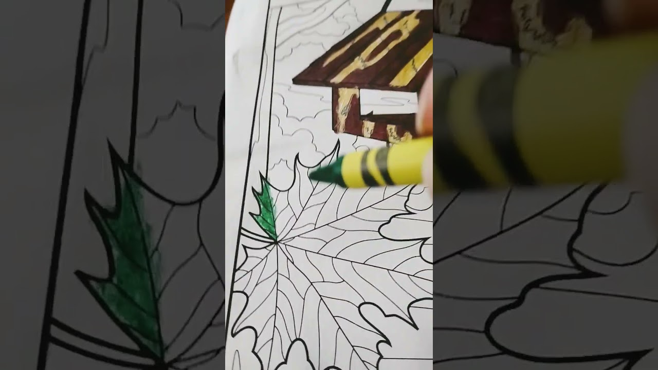 color with me 