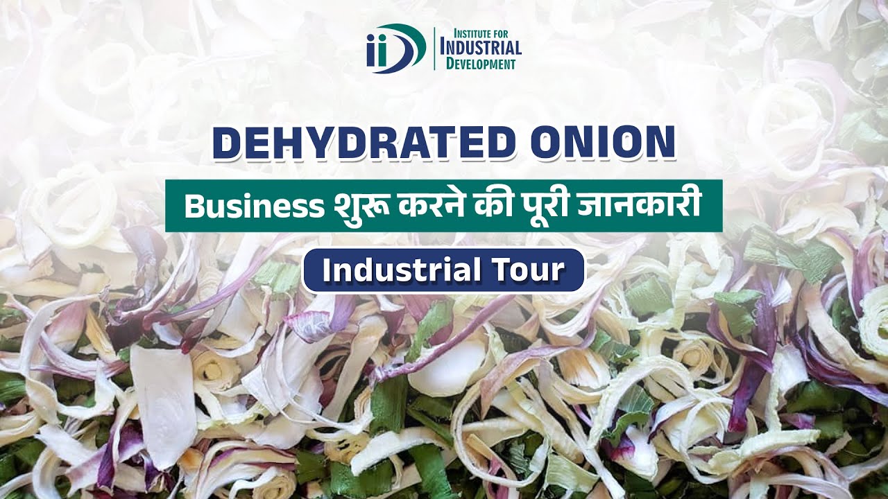 शुष्क प्याज का व्यवसाय कैसे शुरू करे || How to Start Dehydrated Onion Processing Business