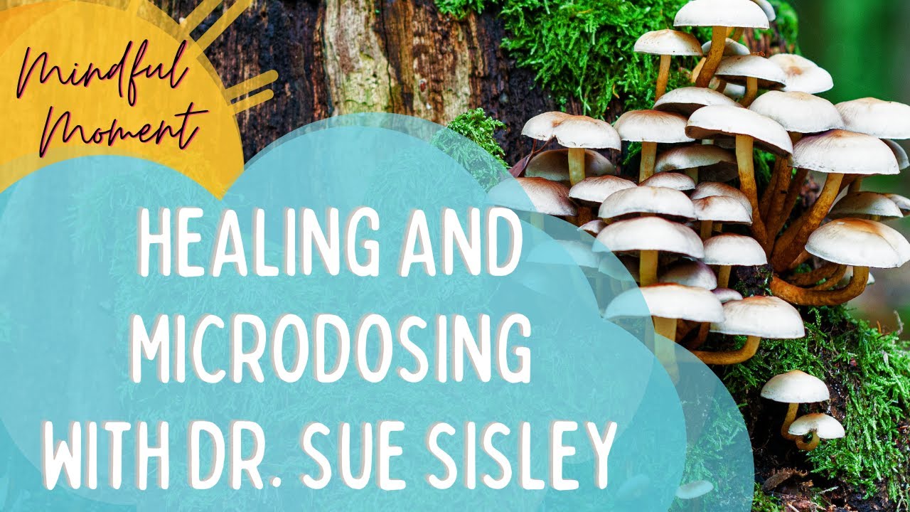 Healing and Microdosing with Dr. Sue Sisley I Mindful Moment #gms #GoodMorningSunshine