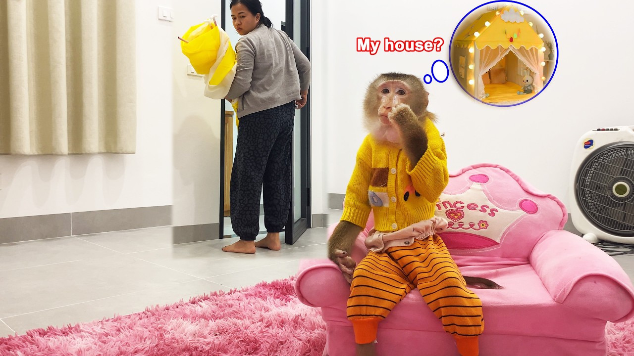 Monkey Lyly  is disappointed because her mother has taken down her house.