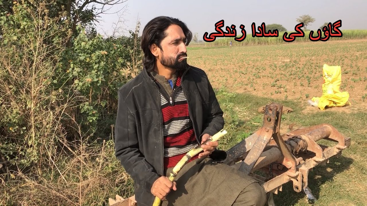 گاؤں کی سادا زندگی 