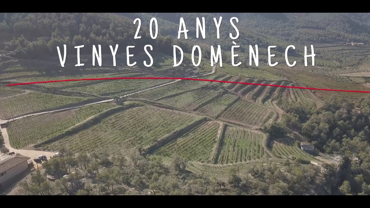 20 Anys d'història de vinyes domenech