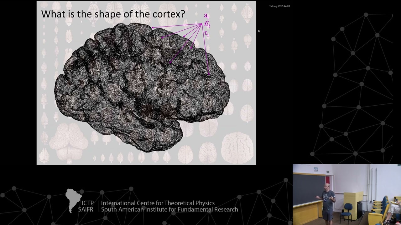 Bruno Mota: The physical origins of brain cortical morphology - Class 2