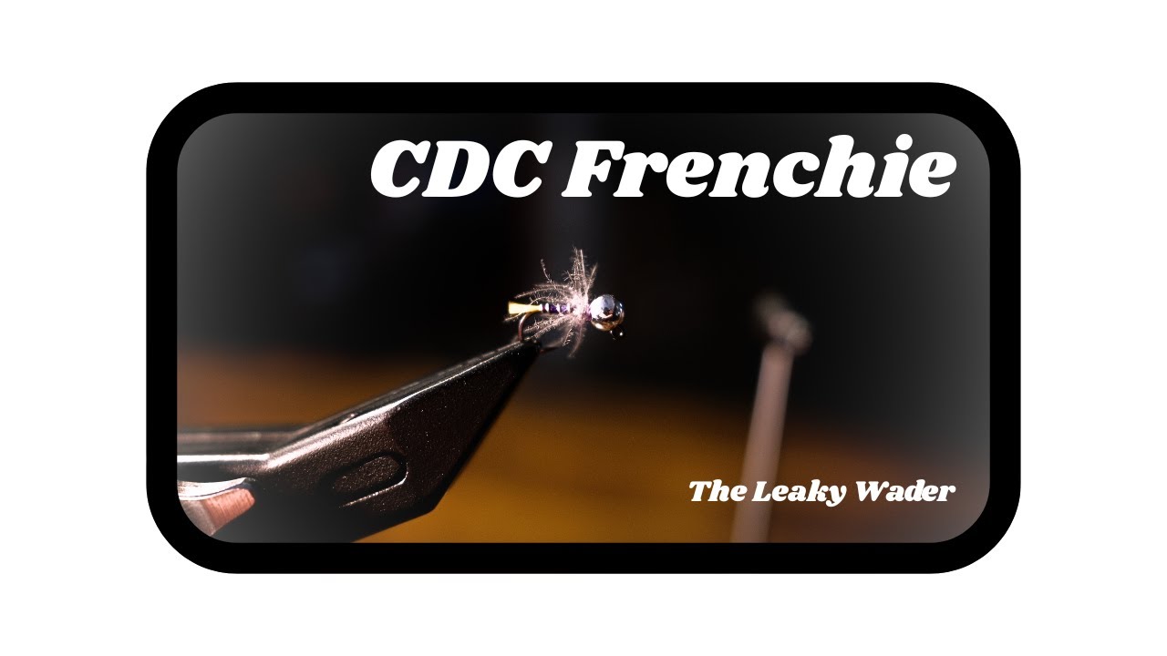 CDC Frenchie Fly Tying