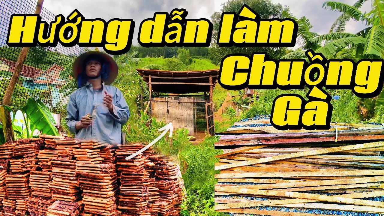 Cách làm chuồng gà đơn giản bằng gỗ và ngói tận dụng.