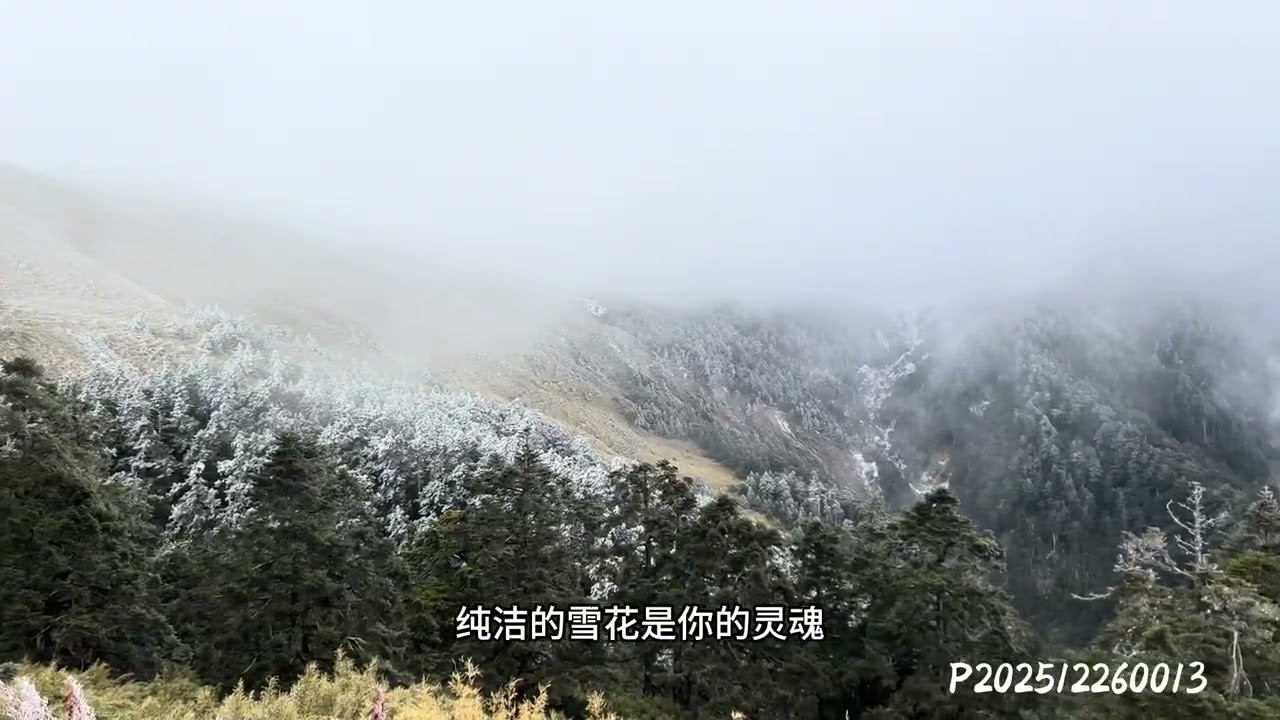 合歡山風雪