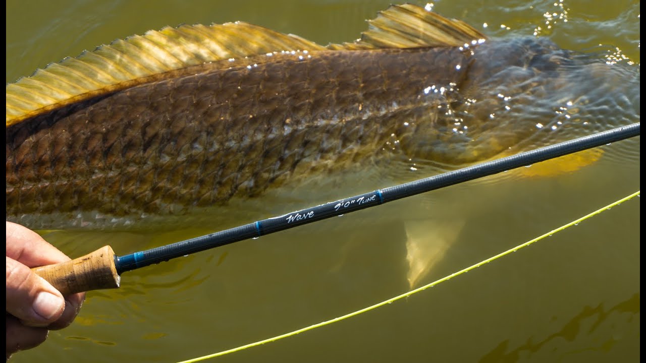 Scott Wave Fly Rod Review
