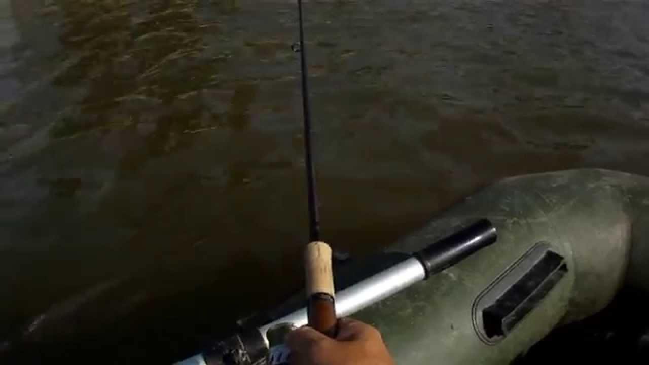 Невезучий виб TSUNEKICHI Darting Bait Drop Shot поймал-таки жереха.Asp Fishing