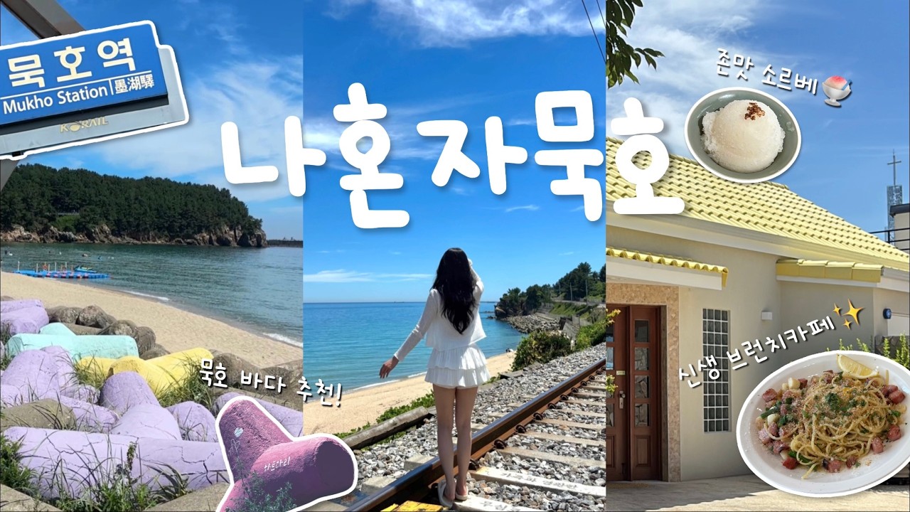 [여행 브이로그] 나혼자 묵호여행🌊 자전거타고 묵호해변 투어 & 신생 맛집 탐방🚲 - ep2 | 한섬해변, 몽돌해변, 하평해변, 트와, 도야하우스 카페