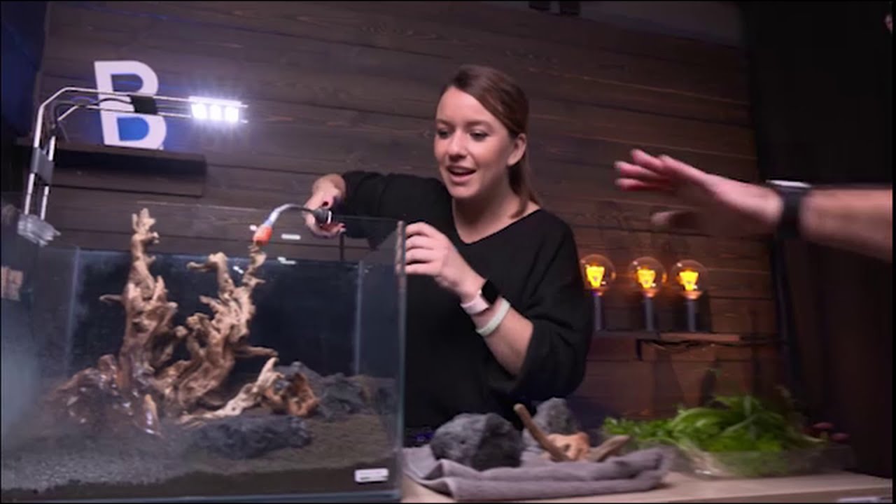 35 literes Dennerle akvárium berendezése a DunaTV Noé barátai című műsorában