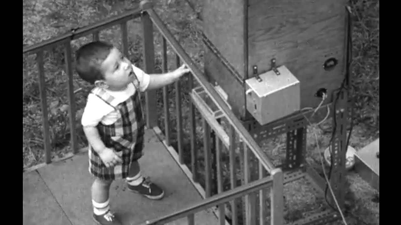 Психологическое исследование: «Младенец в коробке Скиннера» (1960) | Модификация поведения малышей