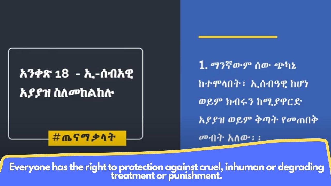 Federal Democratic Republic of Ethiopia (FDRE) Constitution