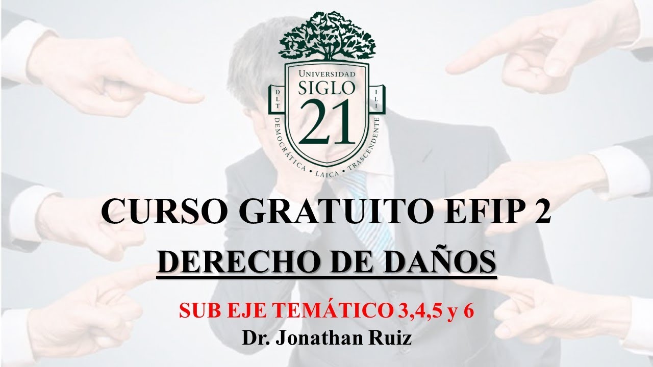 EFIP 2- SIGLO 21 - DERECHO DE DAÑOS SUB EJE TEMÁTICO 3,4,5 y 6