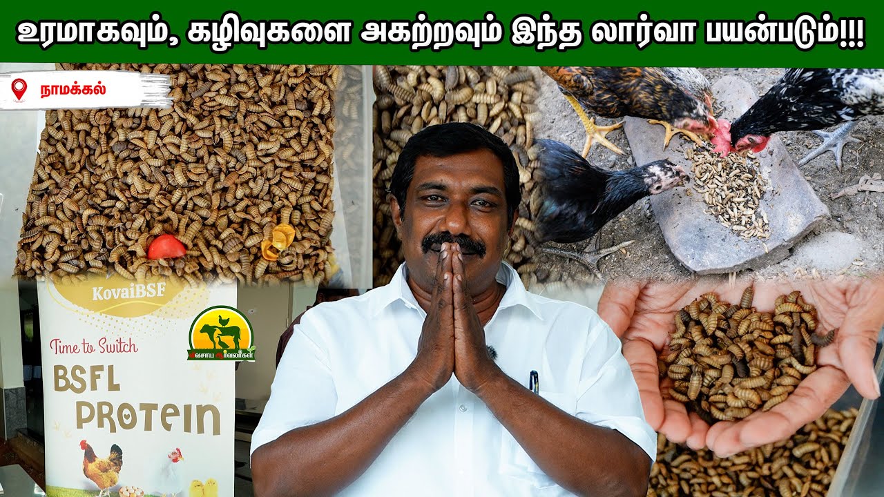 Organic Farming க்கு Best Friend – லார்வா! #agriculture | vivasaya arvalargal