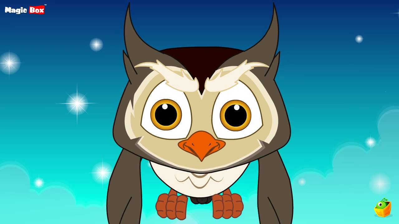 Big Eyed Owl - English Nursery Rhymes - Cartoon/Animated Rhymes For Kids