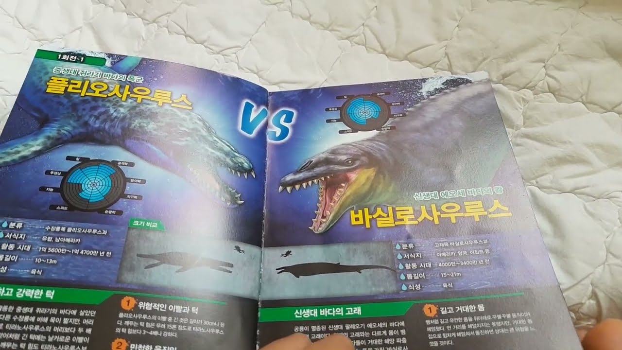 최강동물왕 수종동물편 였습니다 과연 최강의 ×××의승리?!