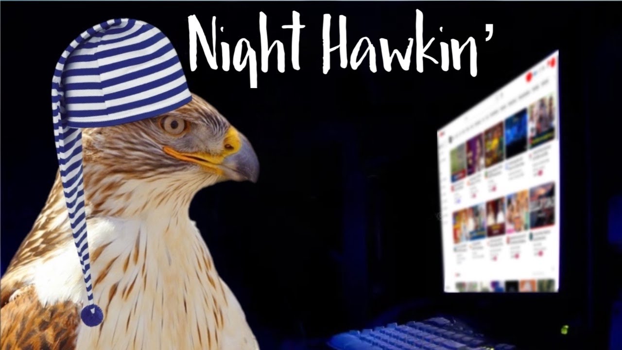 Night Hawkin'