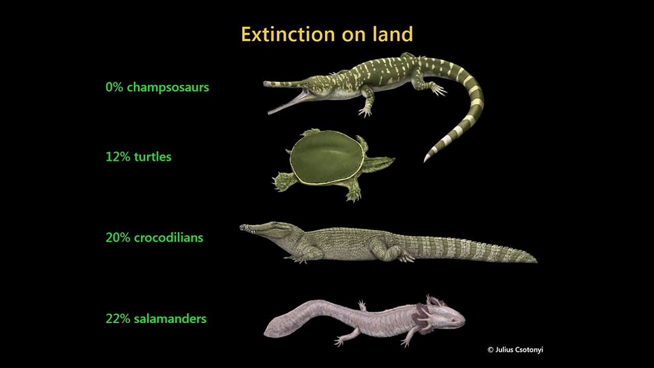 The Cretaceous-Palaeogene Mass Extinction: What Do We Really Know?