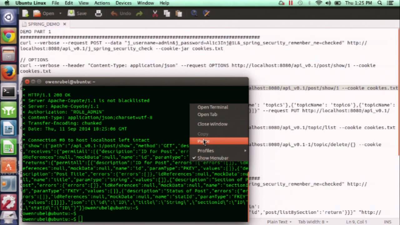 API Abstraction and API Chaining in Grails