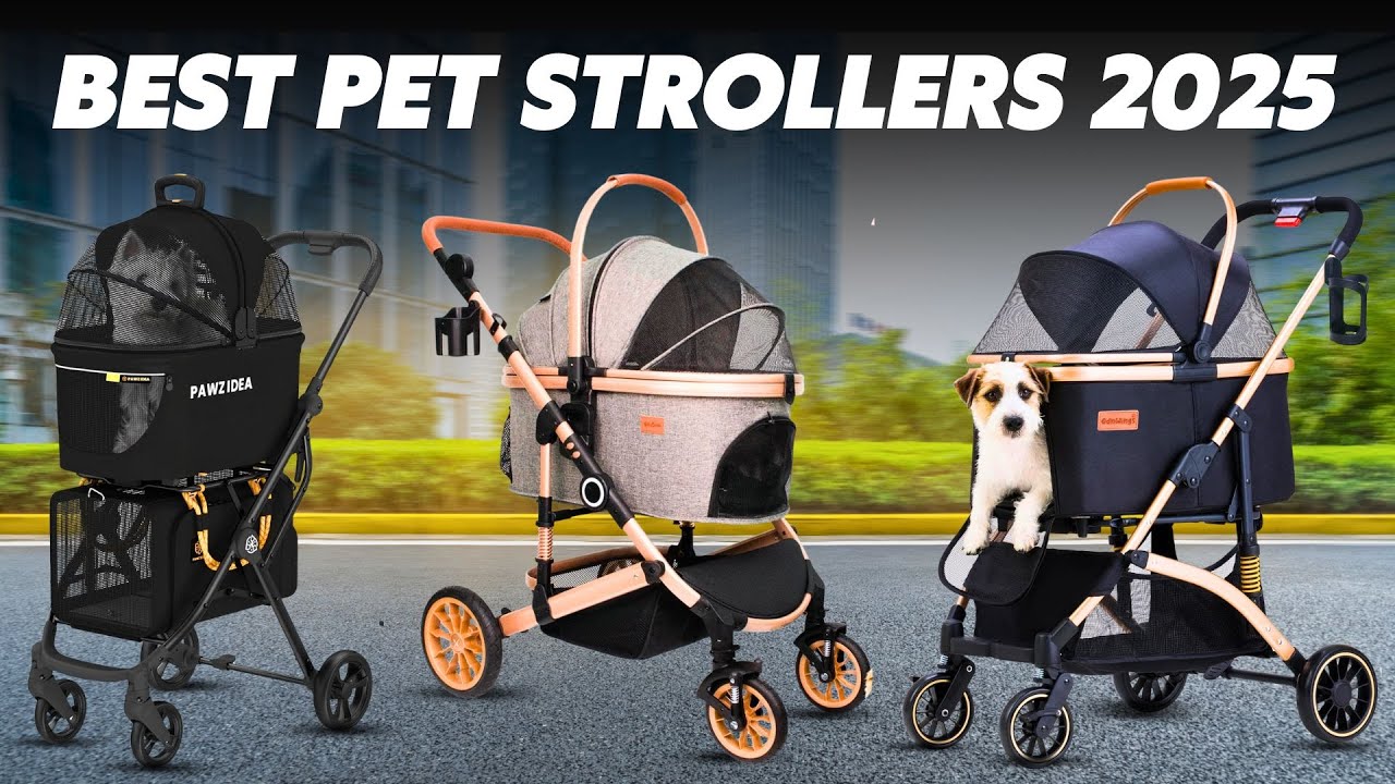 ✅ Top 5 Pet Strollers of 2025 (Tested & Reviewed) - For Small, Medium & Senior Dogs!