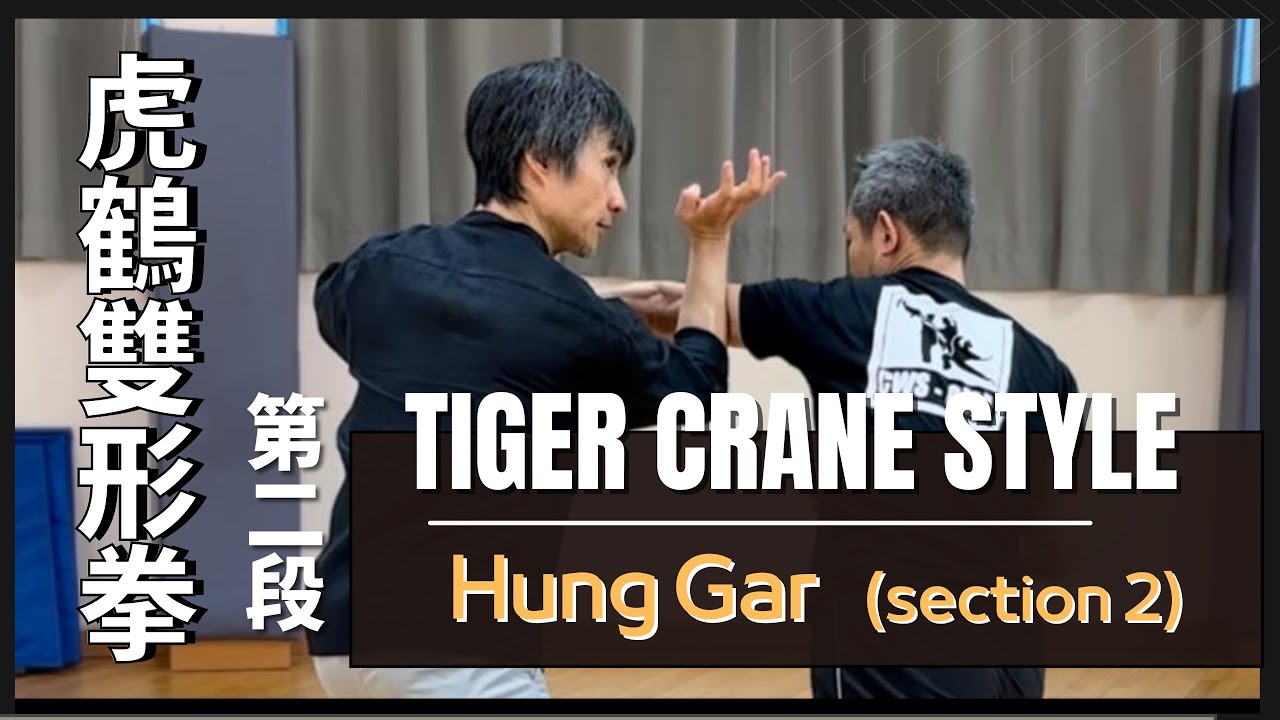 洪家 - 虎鶴雙形拳 第二段 Hung Gar - Tiger Crane Style (section 2)