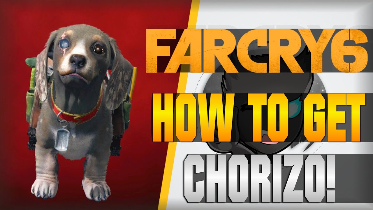 HOW TO GET CHORIZO! (Wheelchair Dog) | FAR CRY 6 | [Amigo Guide]