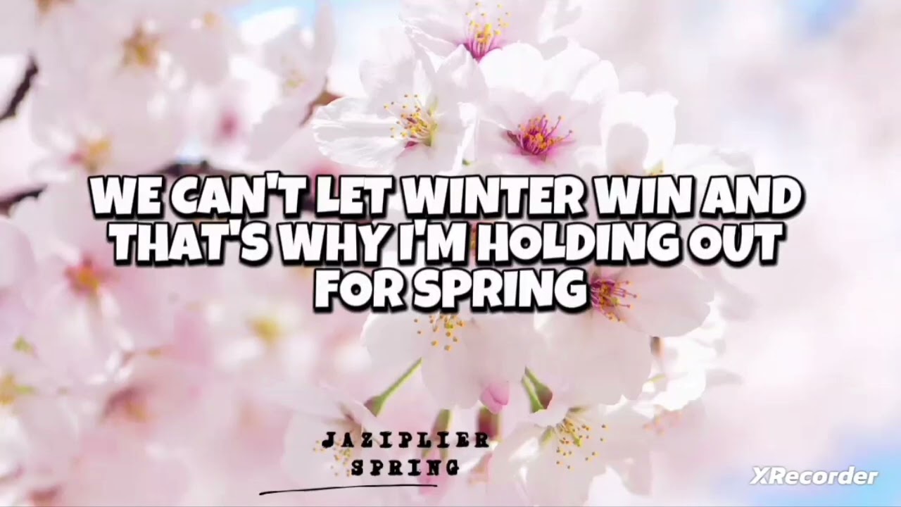 JAZIPLIER - SPRING[OFFICIAL LYRIC VIDEO]