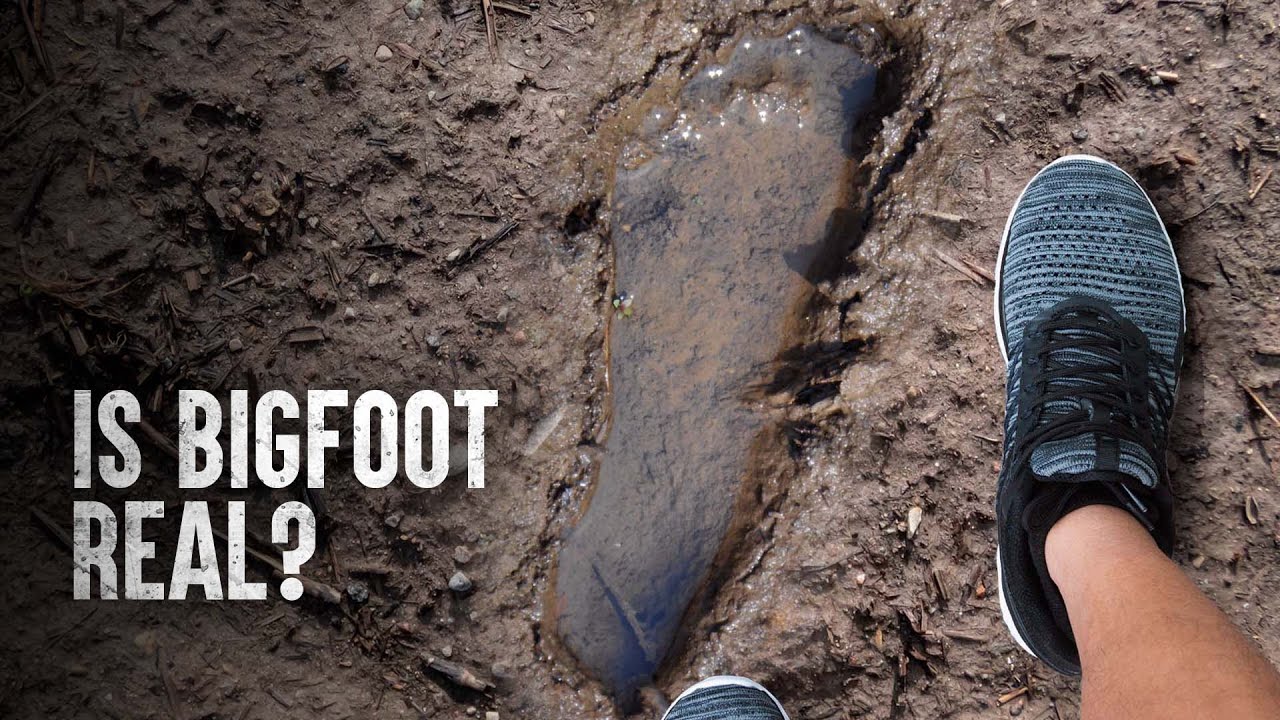 How to Survive a Bigfoot