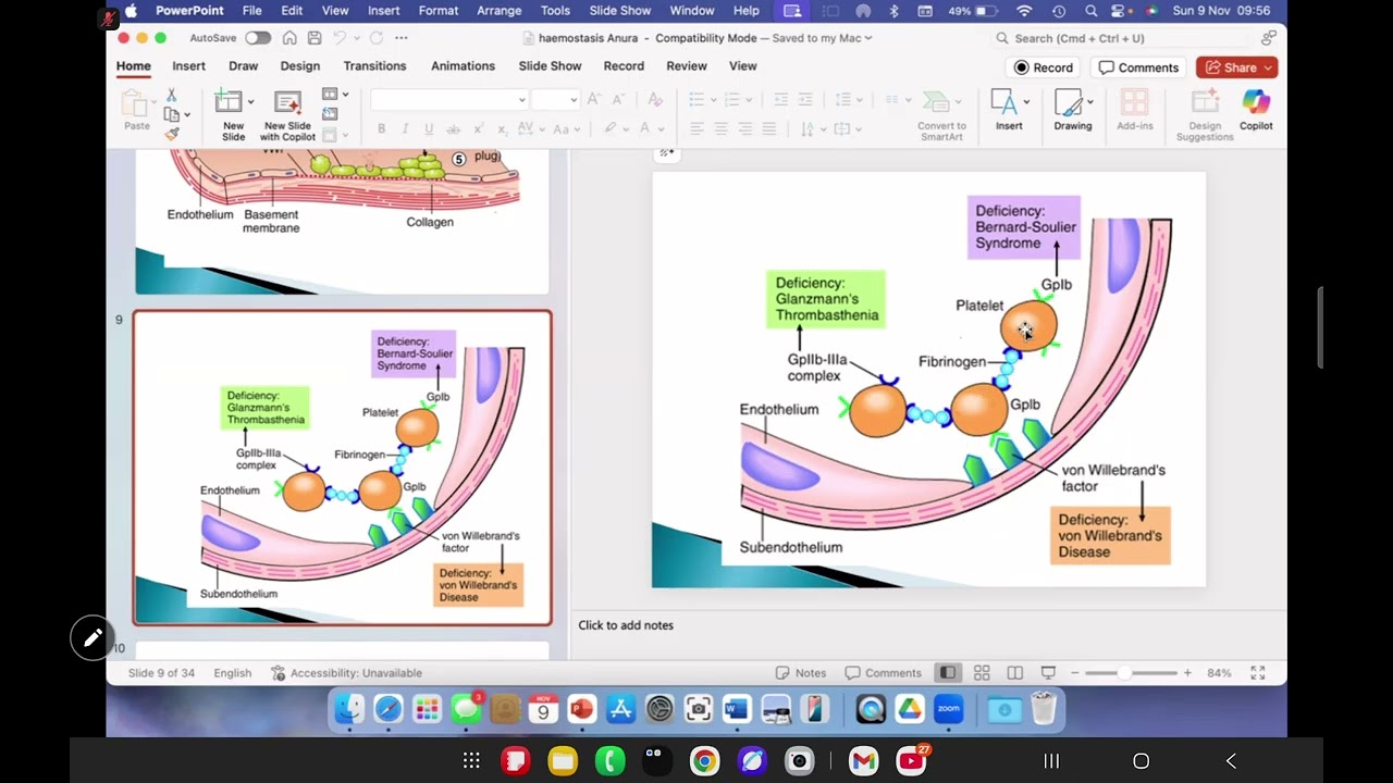 Haemostasis