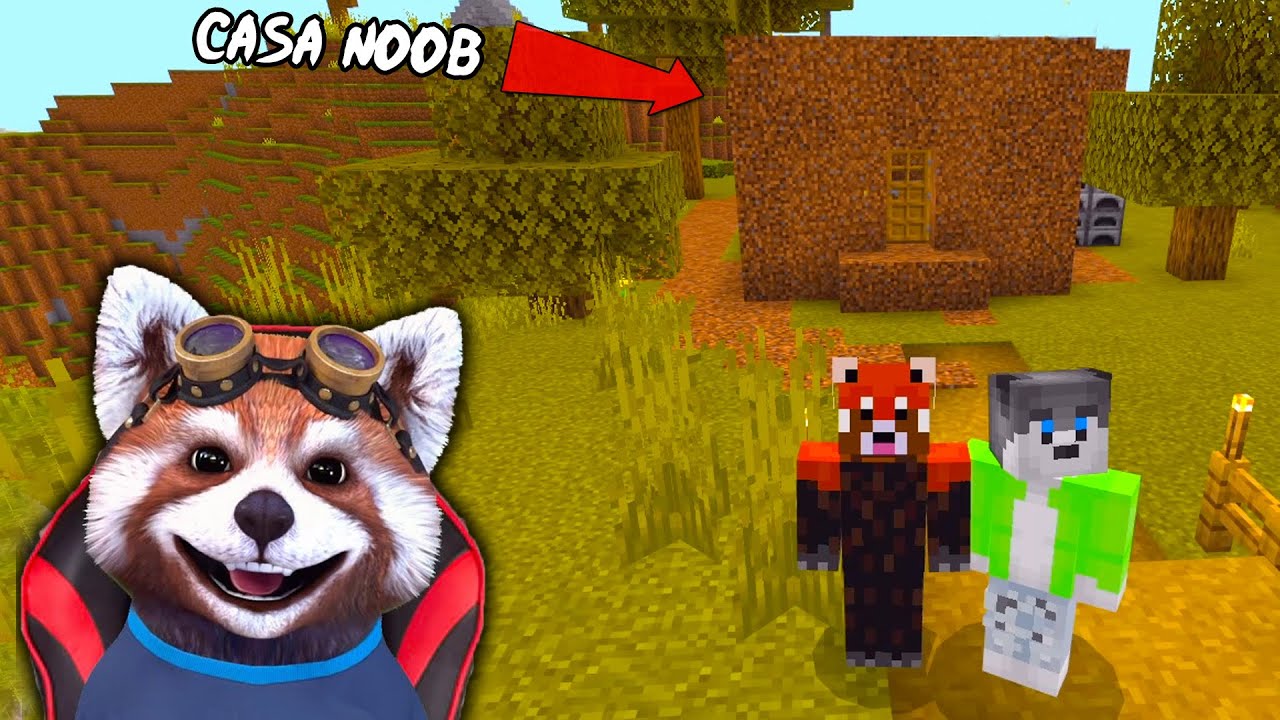 NOOB Vs PRO - Casele Lor Secrete Din Minecraft