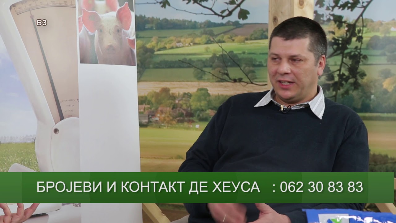 KRMACINO MLEKO - da li postoji ZAMENA ZA MLEKO ZA PRASAD  ?!
