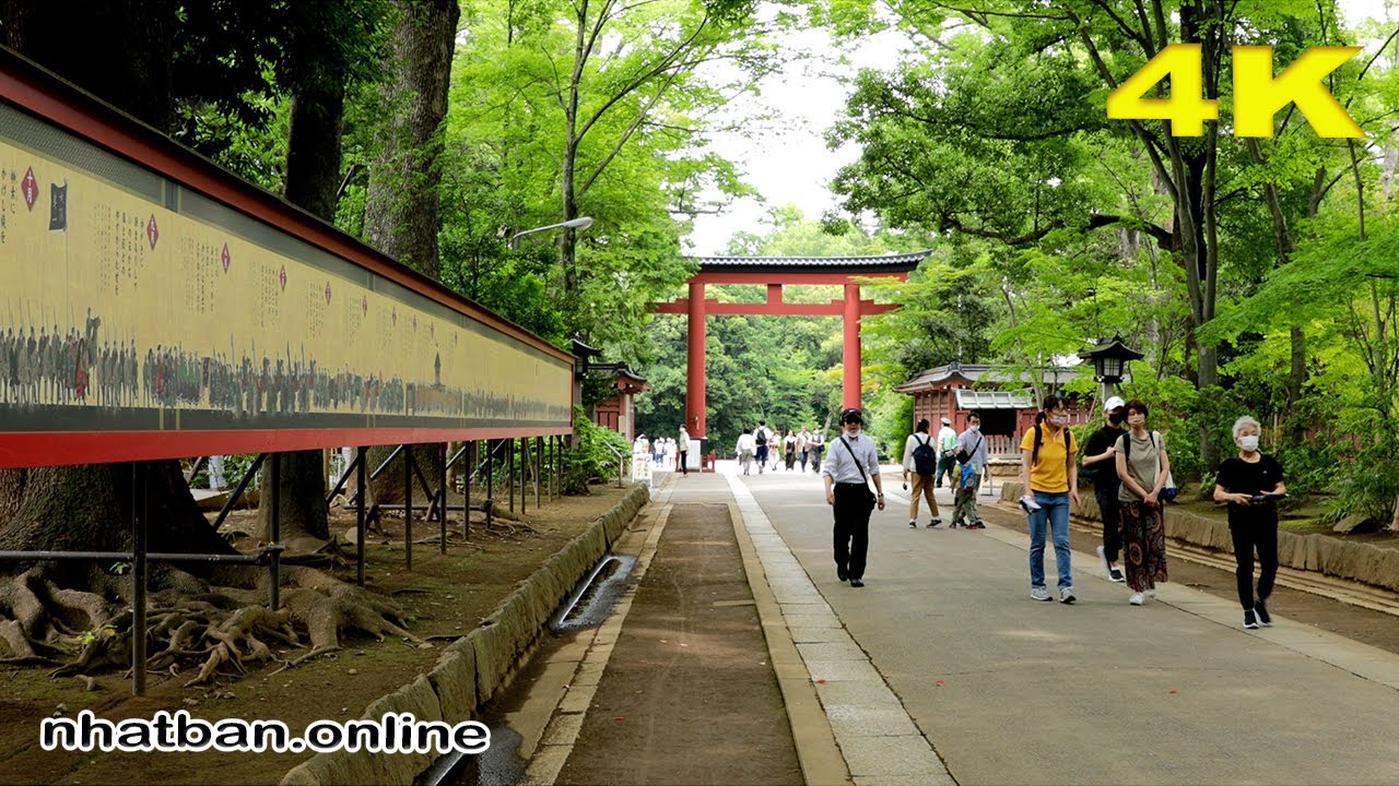 Walk around  Hikawa Shrine in Saitama City |#4k #hikawashrine #saitama | Explore Japan
