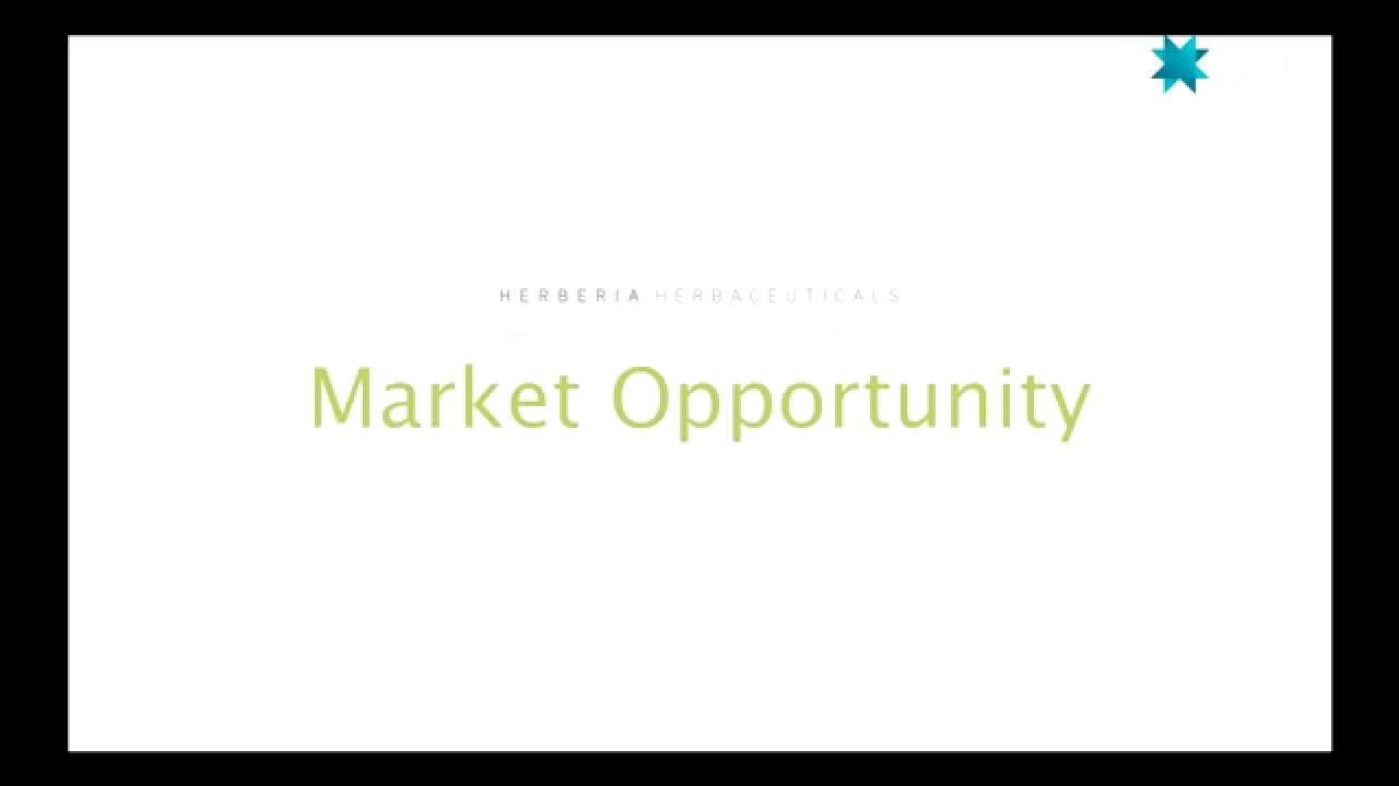 Herberia - Startup Reykjavik Investor Day 2013