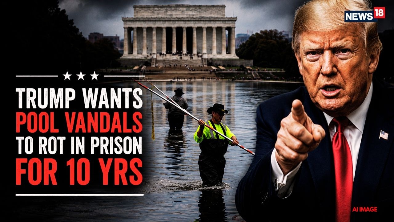 Trump Warns Of 10-Year Jail Term Over Reflecting Pool Vandalism | 5 Arrested | U.S. News | N18L