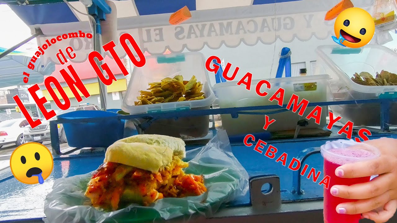 las guacamayas de leon gto. mexico