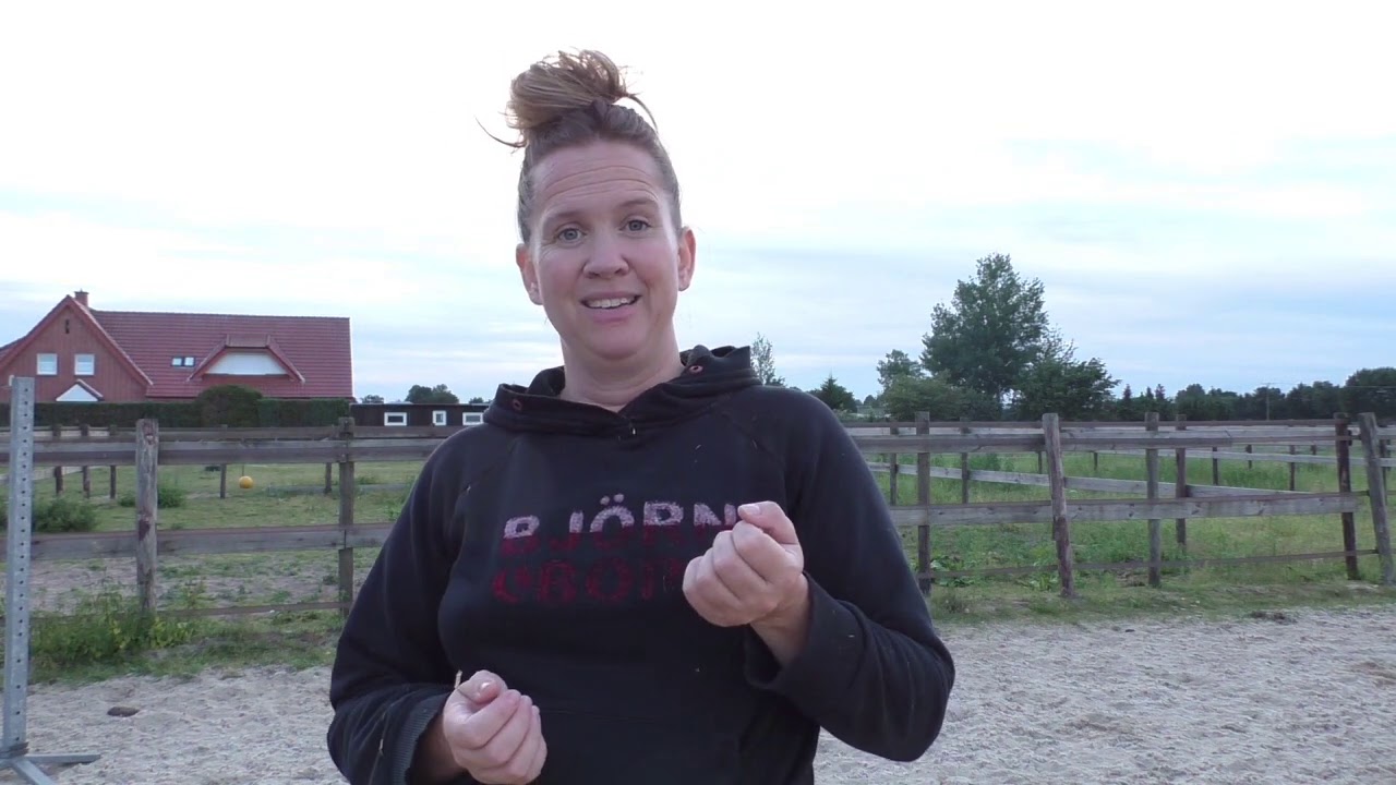 Tip om je paard verticaal in balans te longeren aan de enkele longe