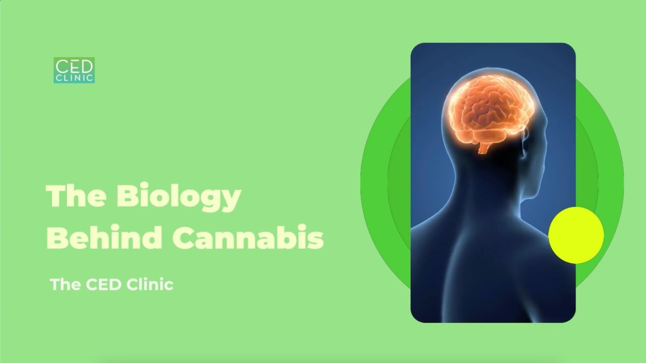 The Biology Behind Cannabis