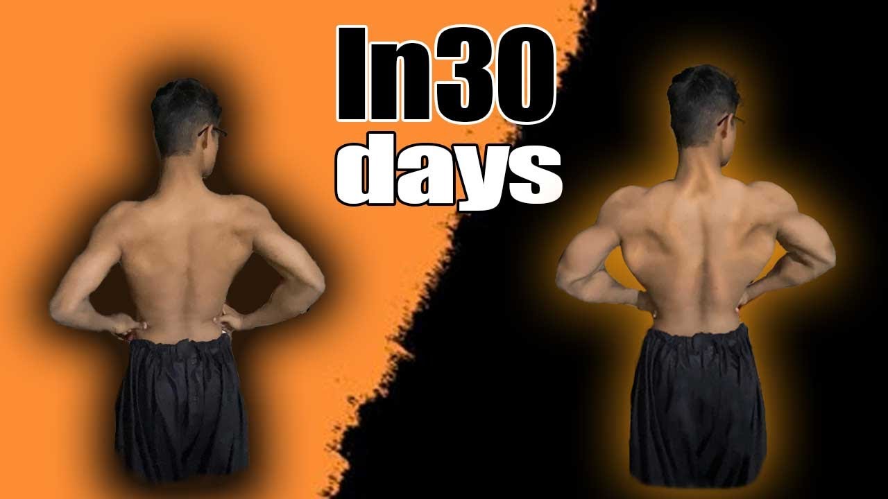 Back workout | just in 30 days | full workout plan | wings muscle train in 1 month
