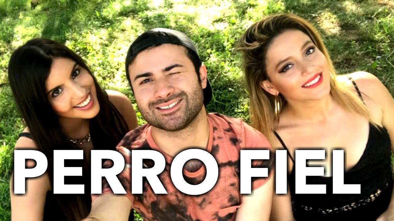 Perro Fiel Cover Shakira ft Nicky Jam - Siena