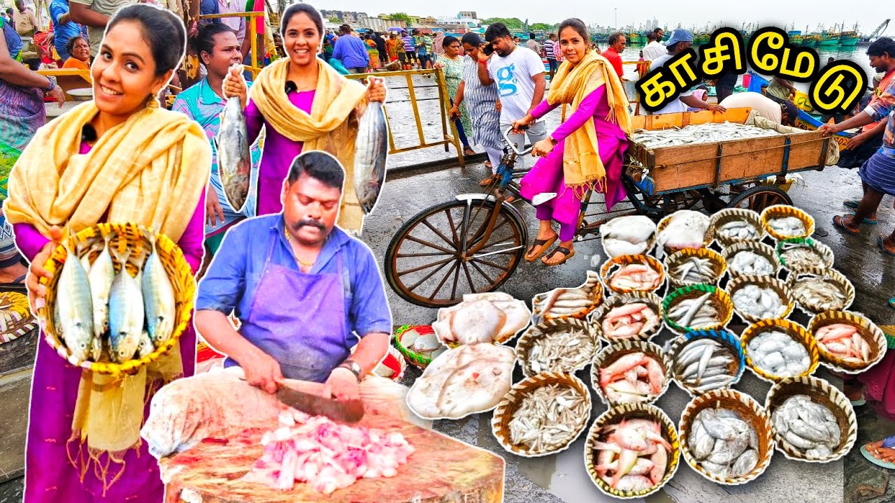 💥💯களைகட்டும் காசிமேடு Market,அனல் பறக்கும் மீன் வியாபாரம்🔥| Media பட்டதாரி 