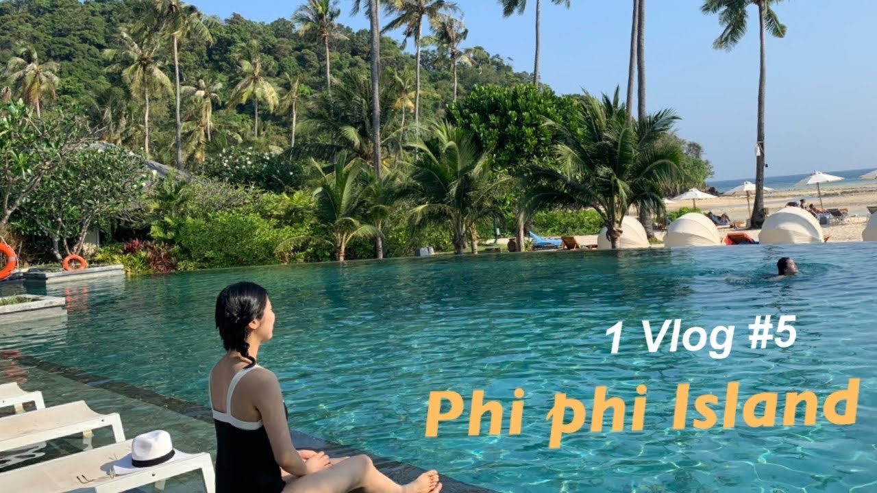 1월 Vlog 5 | 피피섬 리조트에서 하루/ phiphi island village/ phiphi resort/ 이곳이 천국/ 물개가 되어버리다/ 방콕으로 이동하기