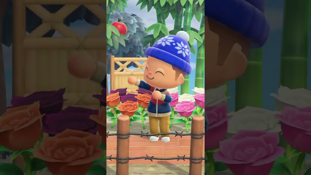 CUANDO YA NO HAY NIEVE EN ANIMAL CROSSING NEW HORIZONS