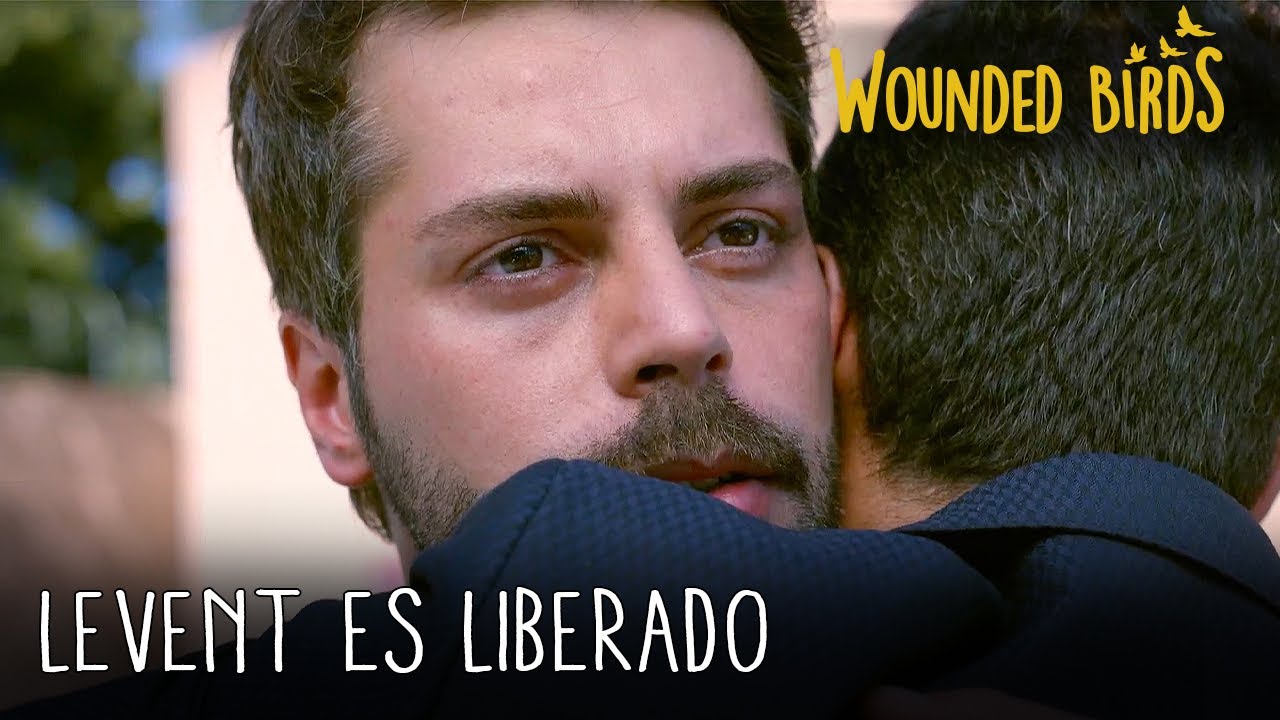 Levent es liberado | Wounded Birds (Yaralı Kuşlar) Capítulo 121