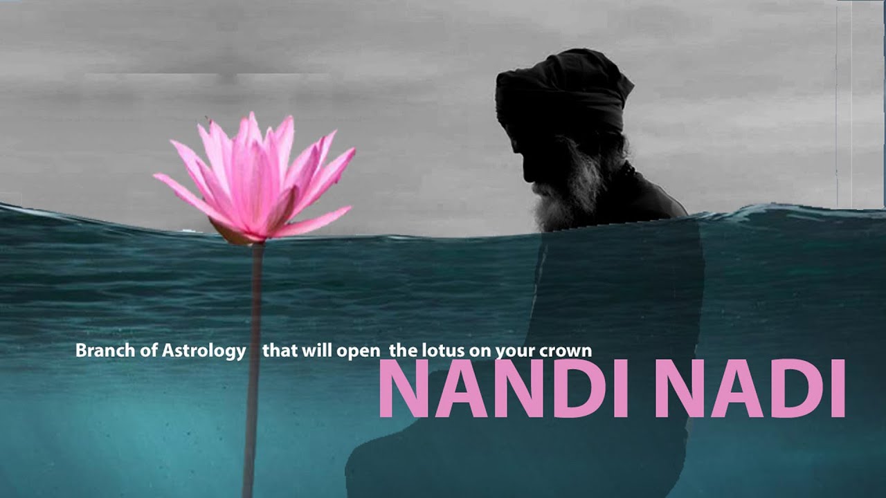 How to make Combinations in Nandi Nadi Astrology for career