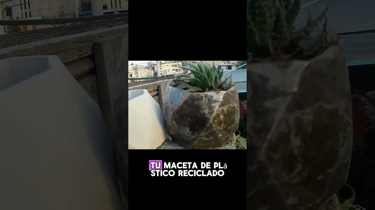 Aprende a Termoformar Plástico Reciclado 🔥♻️