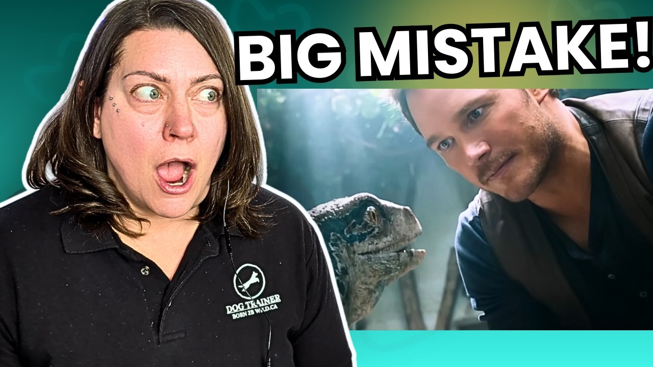 Dog Behaviorist Reacts To Jurassic World Fallen Kingdom: Was Owen’s Training Accurate?