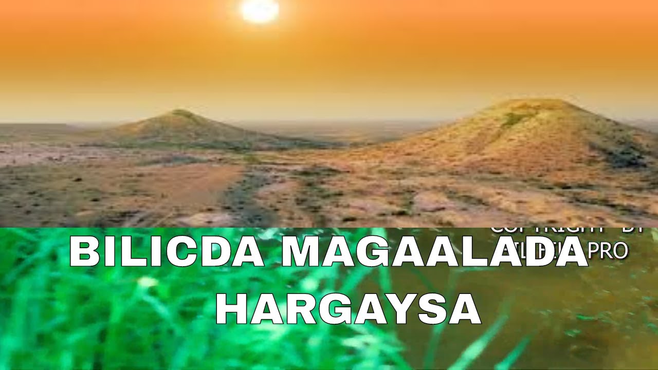 Vlog 1 BILICDA MAGAALADA HARGAYSA IYO BARWAAQADA DHULKEENA | HIIL FILMS PRO