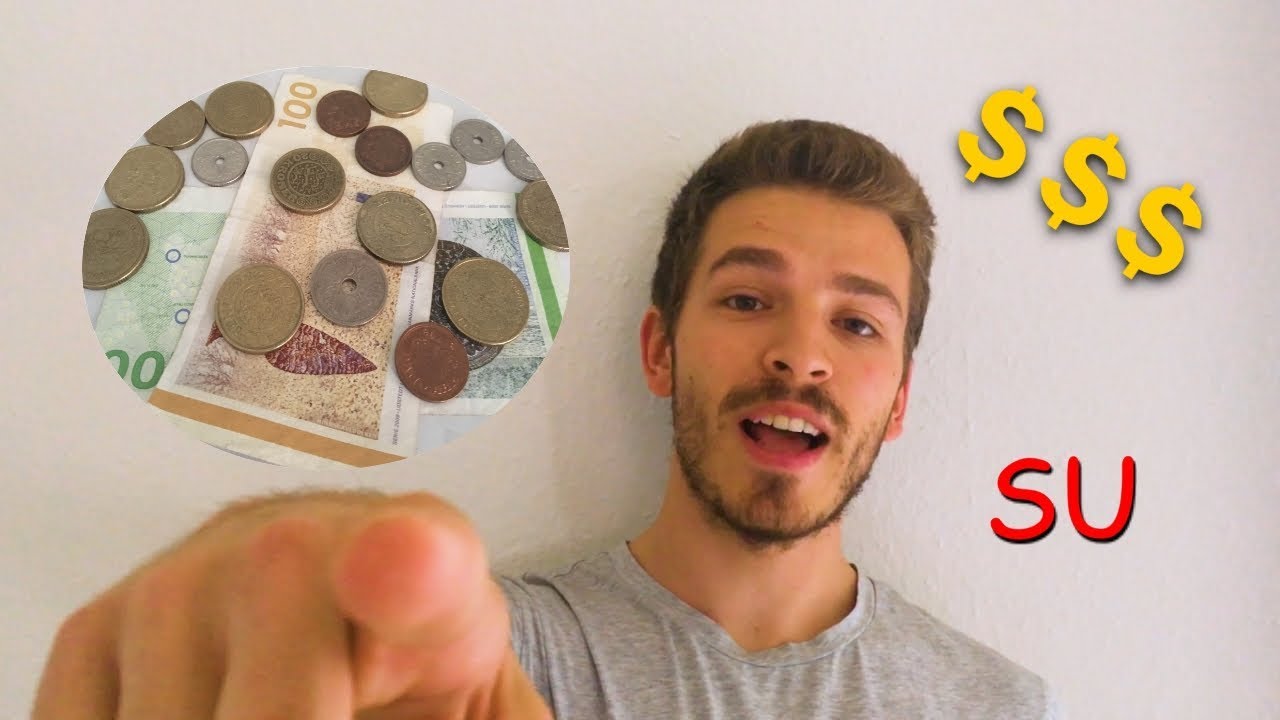 💵Ti pagano per studiare?! - SU in Danimarca